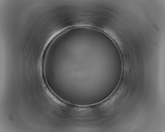 X0000112470941200908241230