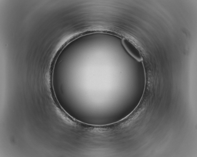 X0000112470942200908241230