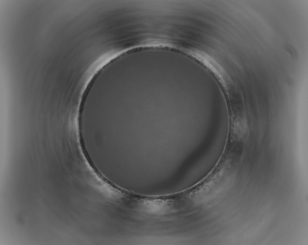 X0000112470943200908241230