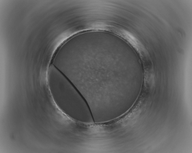 X0000112470944200908241230