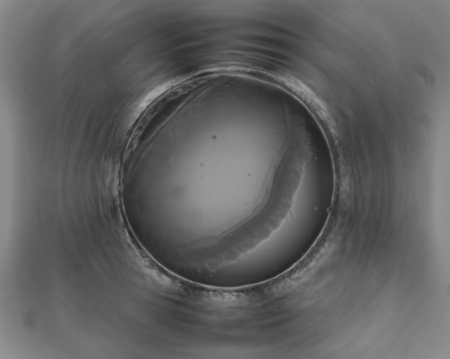 X0000112470945200908241230