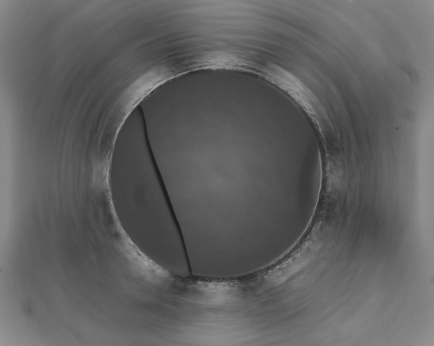 X0000112470946200908241230