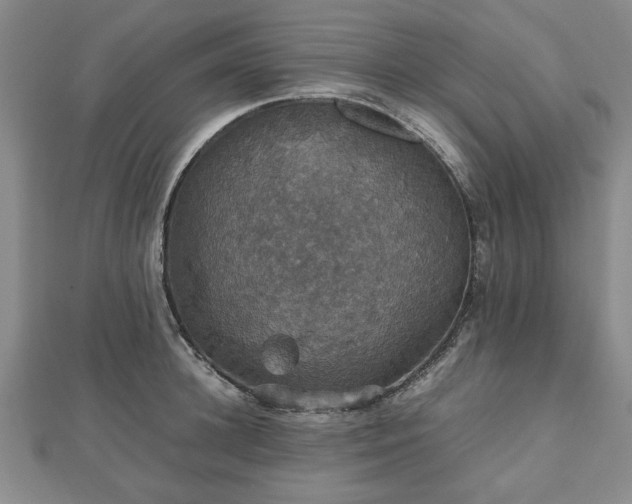 X0000112470948200908241230