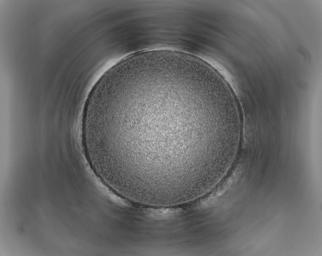 X0000112470949200908241230