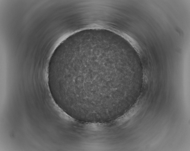 X0000112470950200908241230