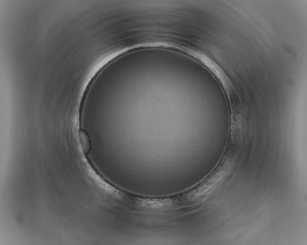 X0000112470951200908241230