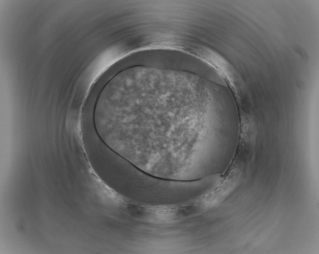 X0000112470952200908241230