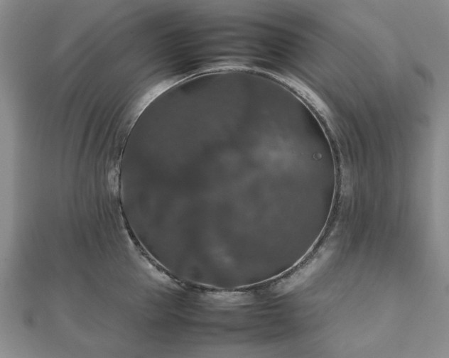 X0000112470953200908241230