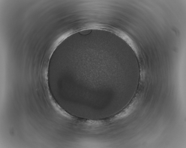 X0000112470954200908241230