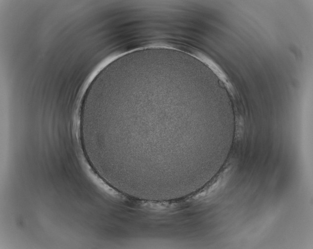 X0000112470955200908241230