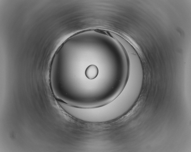 X0000112470956200908241230