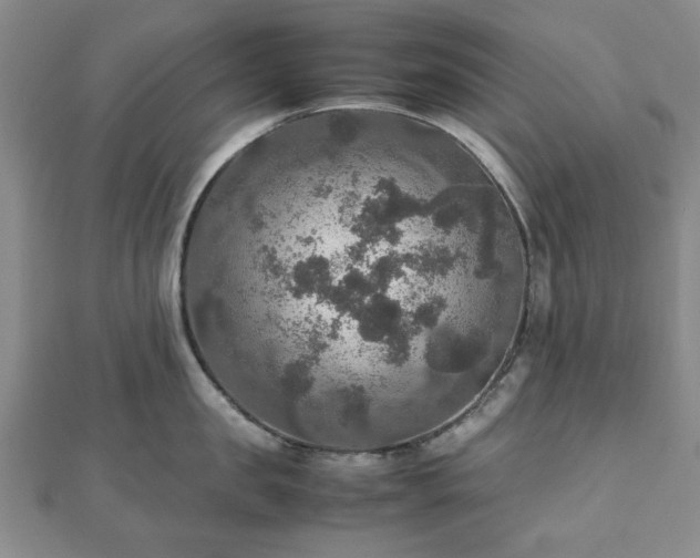 X0000112470957200908241230