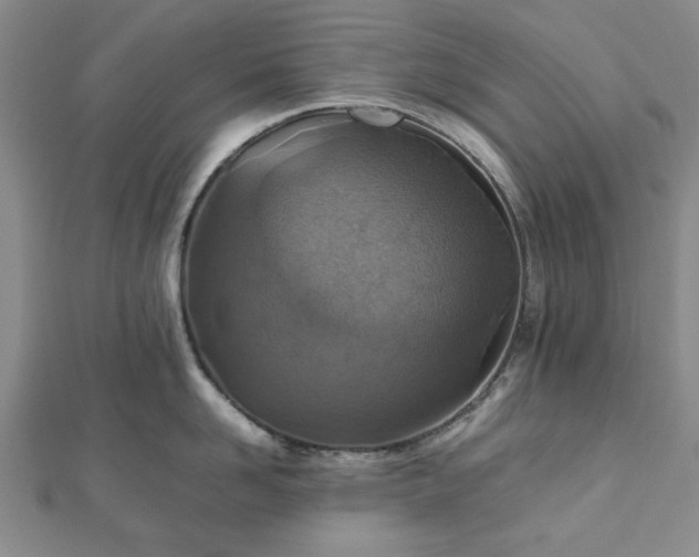 X0000112470958200908241230