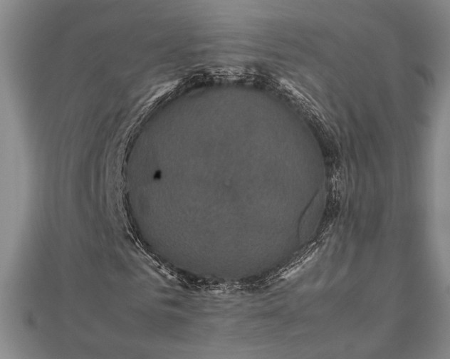 X0000112470961200908241229