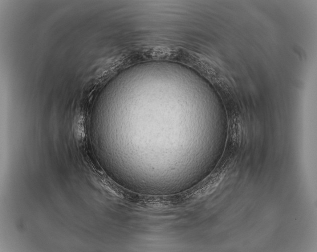 X0000112470962200908241229