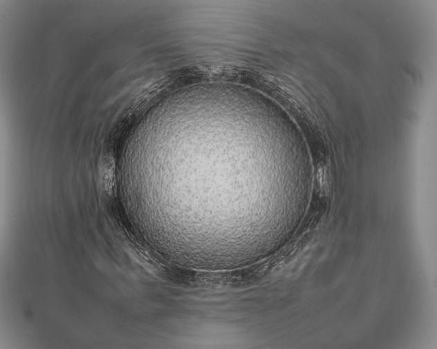 X0000112470963200908241229