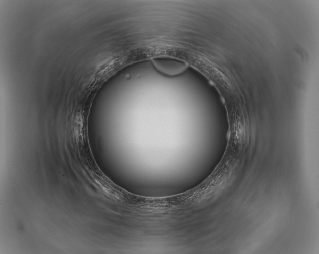 X0000112470964200908241229