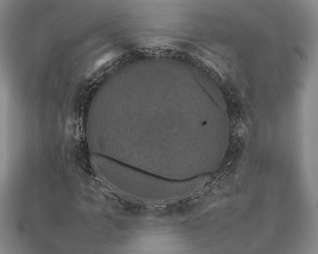 X0000112470965200908241229