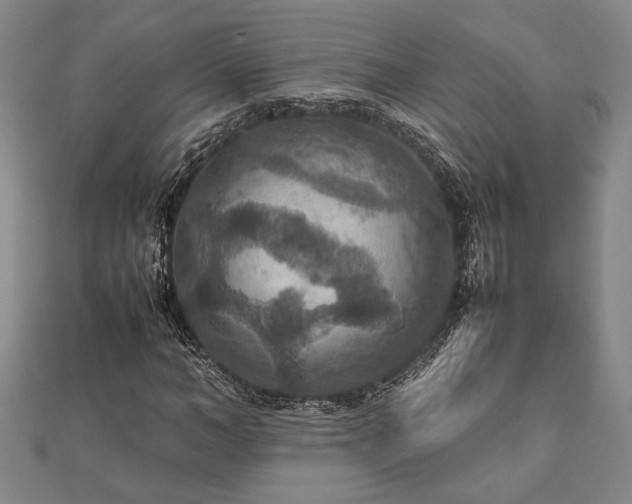 X0000112470966200908241229