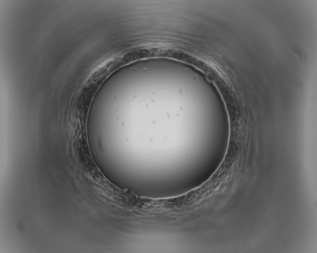 X0000112470967200908241229