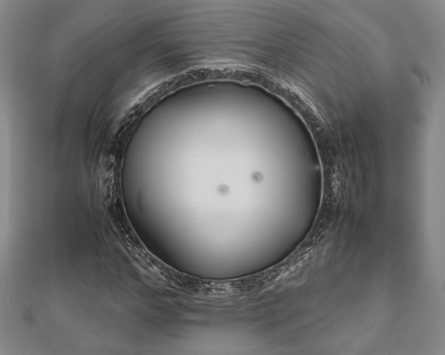 X0000112470968200908241229