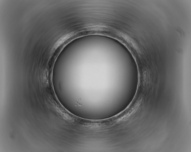 X0000112470970200908241229