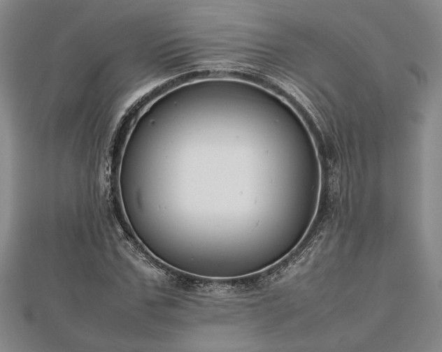 X0000112470971200908241229