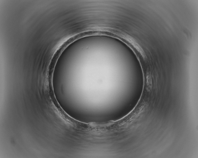 X0000112470972200908241229