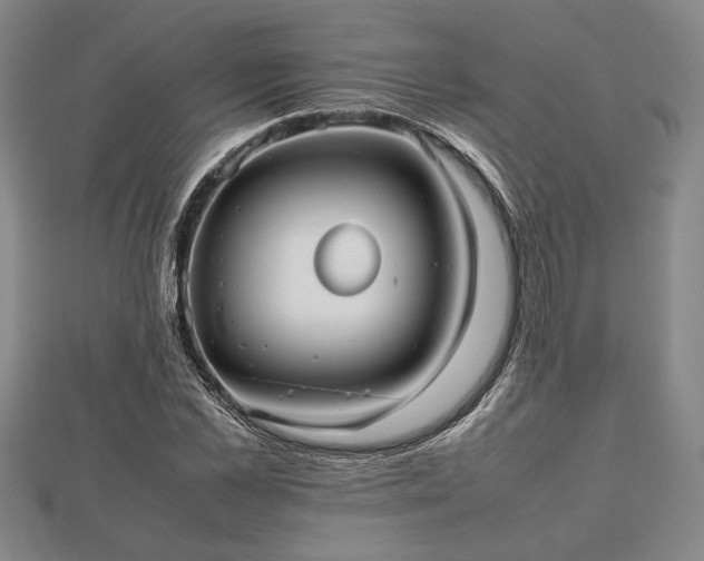 X0000112470973200908241229