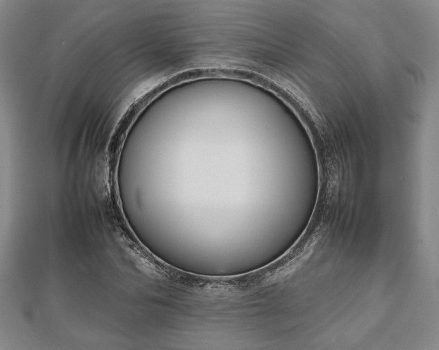 X0000112470974200908241229