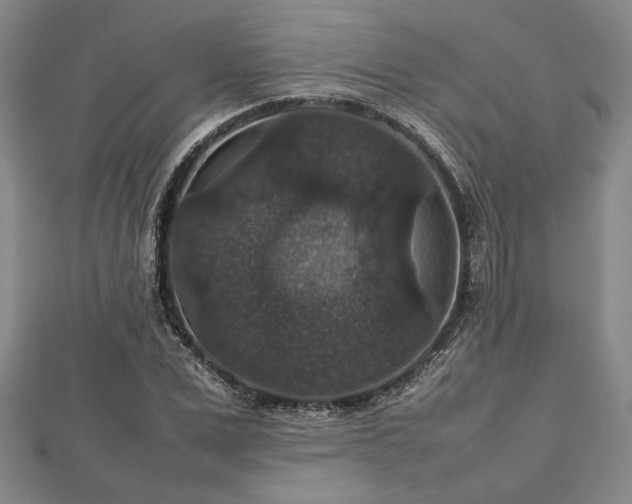 X0000112470975200908241229