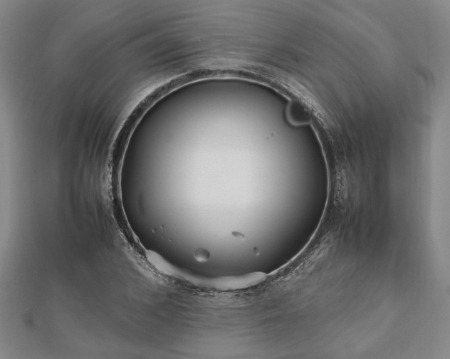 X0000112470976200908241229