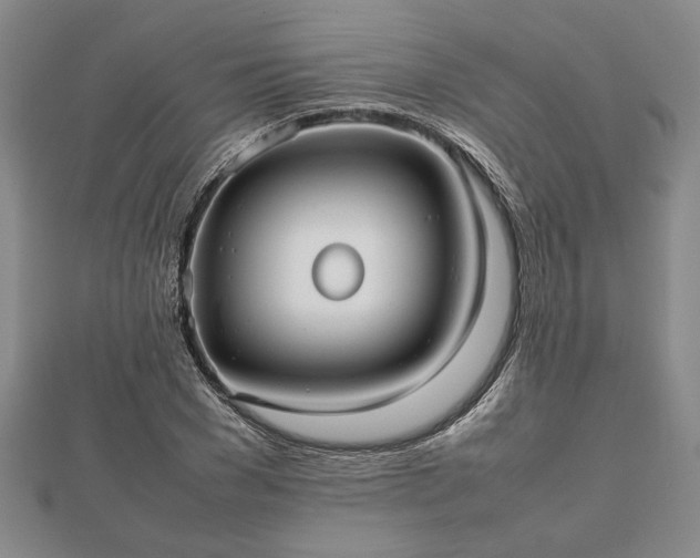 X0000112470977200908241229