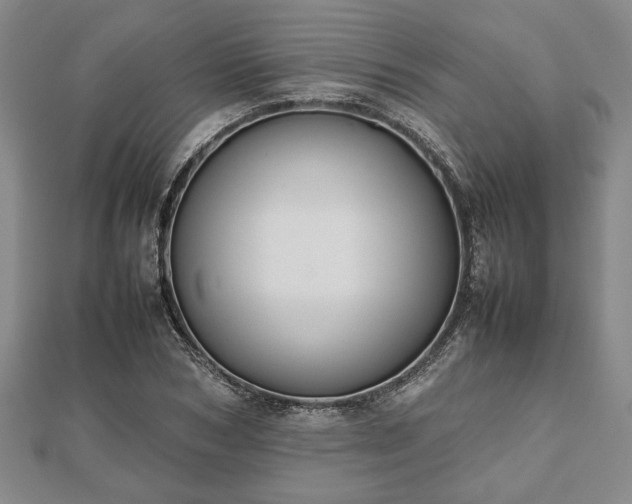 X0000112470978200908241229