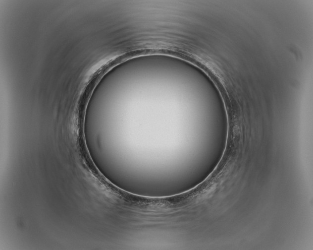 X0000112470979200908241229