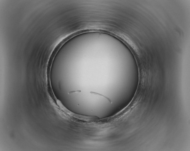 X0000112470980200908241229