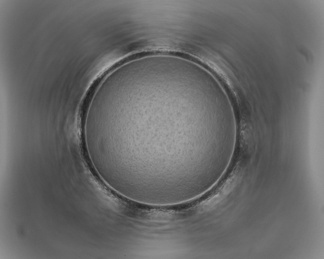 X0000112470981200908241229