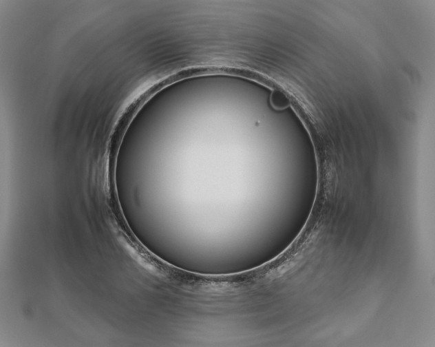 X0000112470982200908241229