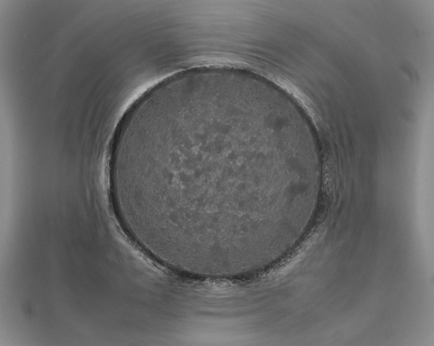 X0000112470983200908241229