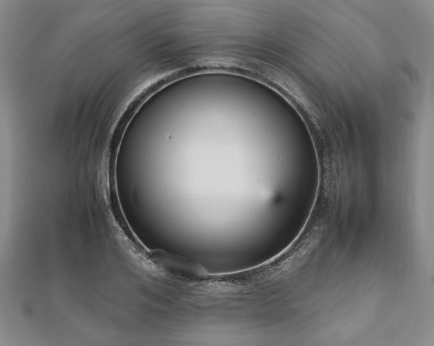 X0000112470984200908241229