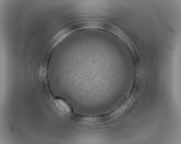 X0000112470985200908241229