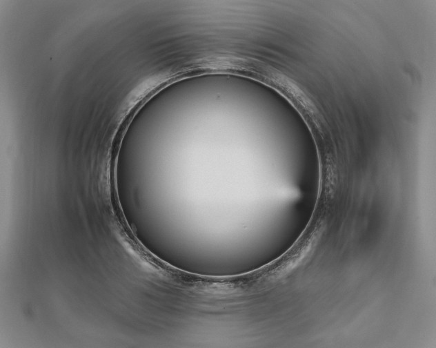 X0000112470986200908241229