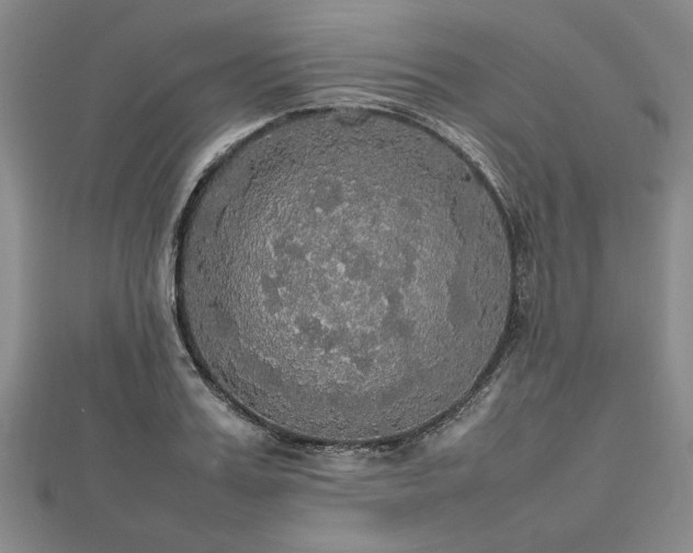 X0000112470987200908241229