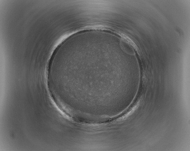 X0000112470989200908241229