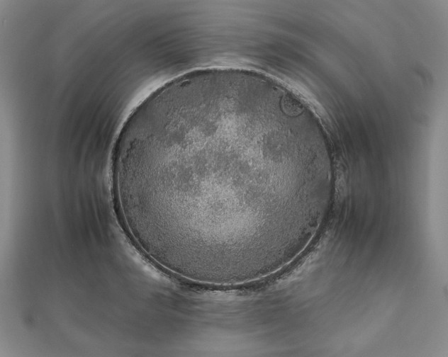 X0000112470990200908241229