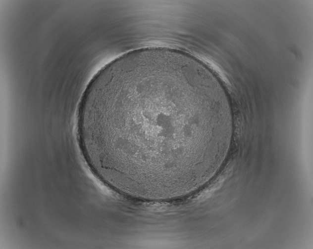 X0000112470991200908241229