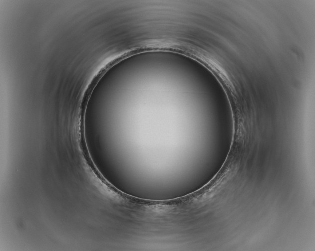 X0000112470992200908241229