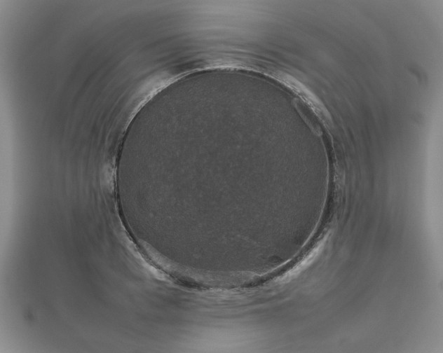 X0000112470993200908241229