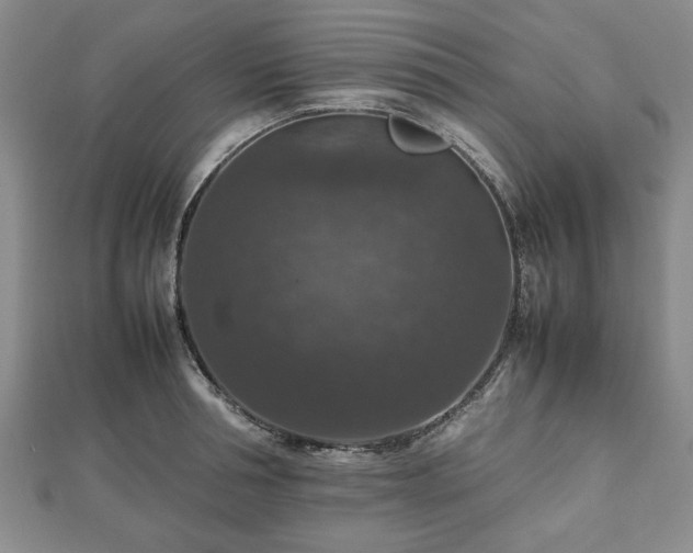 X0000112470994200908241229