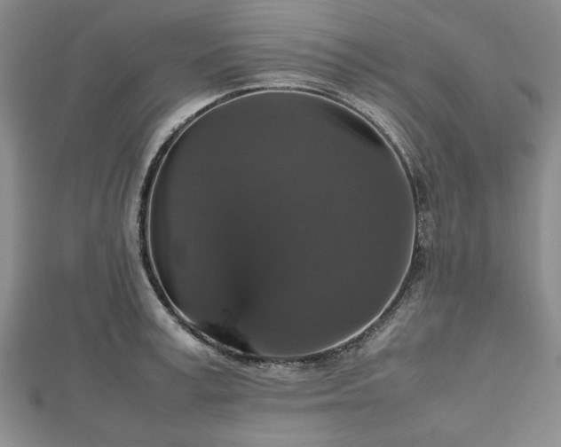 X0000112470995200908241229